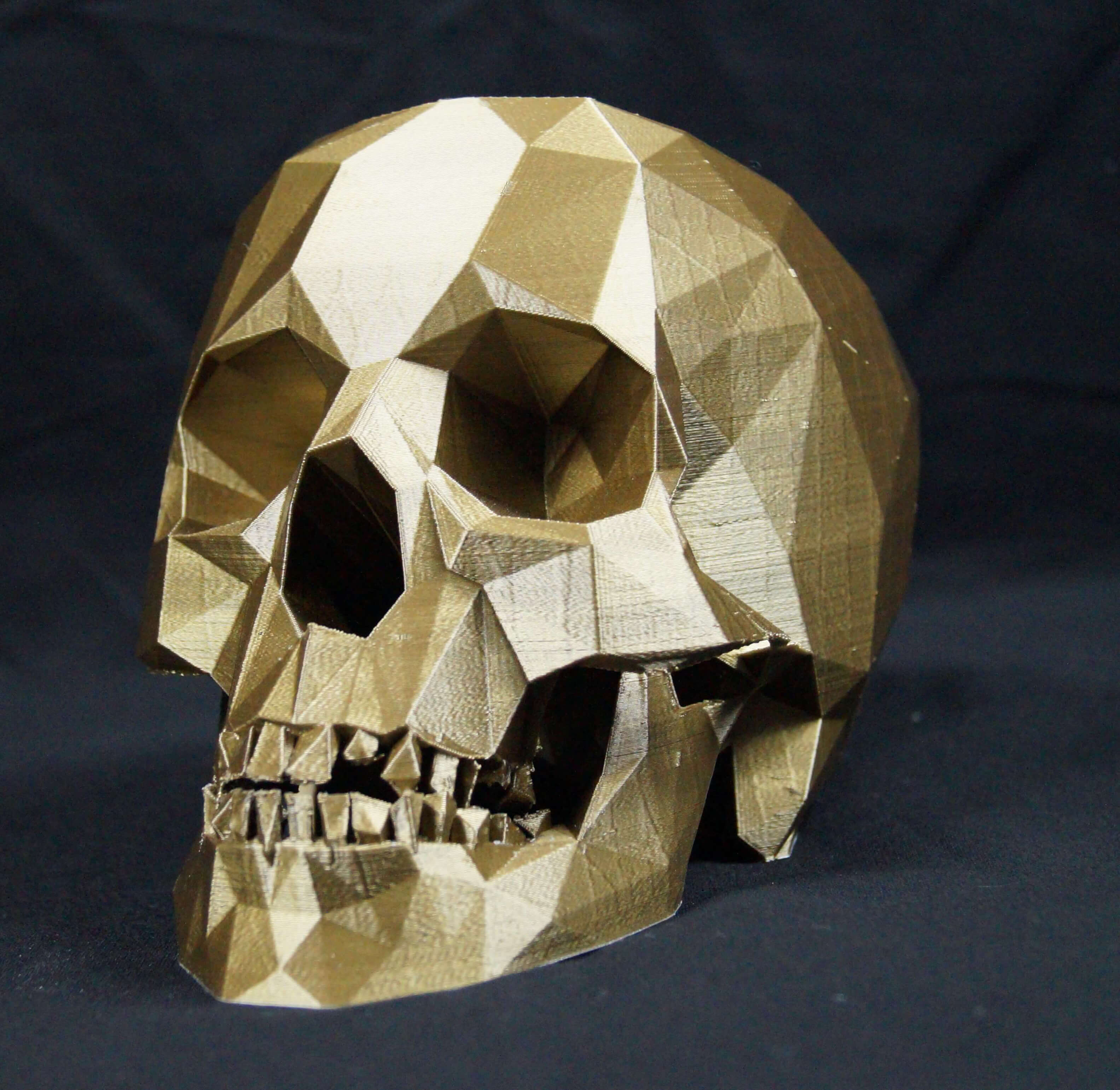 3D Printed Skull